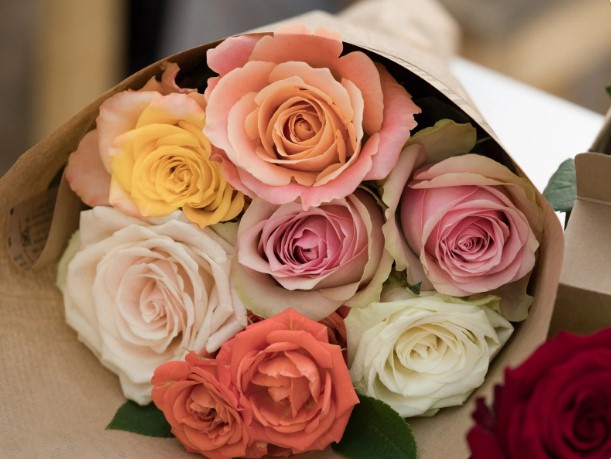 can i put roses in the refrigerator